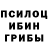 Псилоцибиновые грибы ЛСД Susan Long