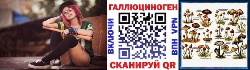 Галлюциногенные грибы Psilocybe  гидра маркетплейс  Черногорск  дарнет шоп 