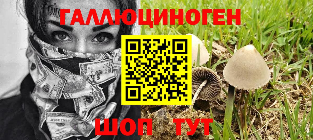Галлюциногенные грибы MAGIC MUSHROOMS  Вход с VPN  Черногорск  как найти   Псилоцибиновые грибы ЛСД 