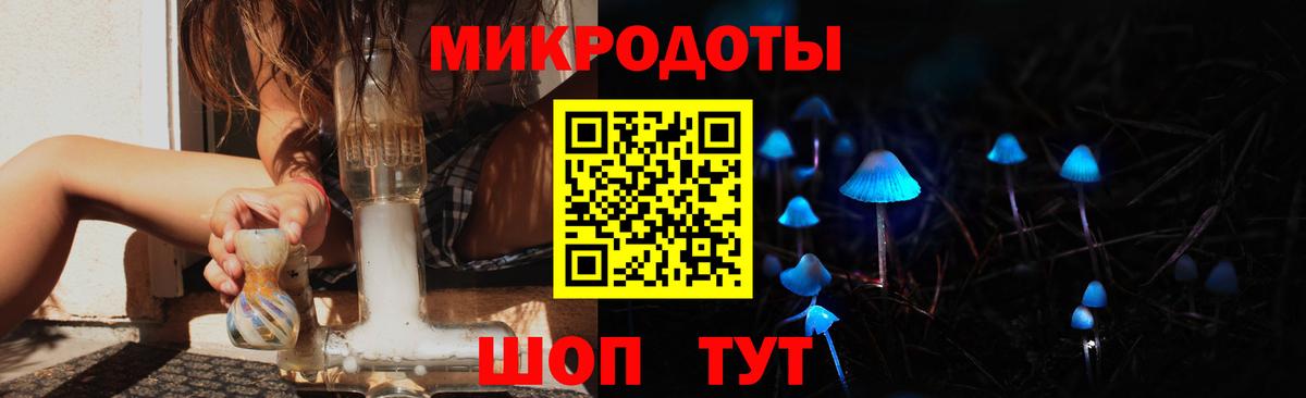 Псилоцибиновые грибы мицелий Черногорск